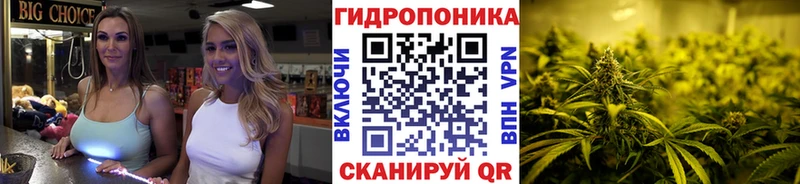 Каннабис Bruce Banner  Соликамск 